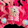 Bagpuss Headdress - Image 2